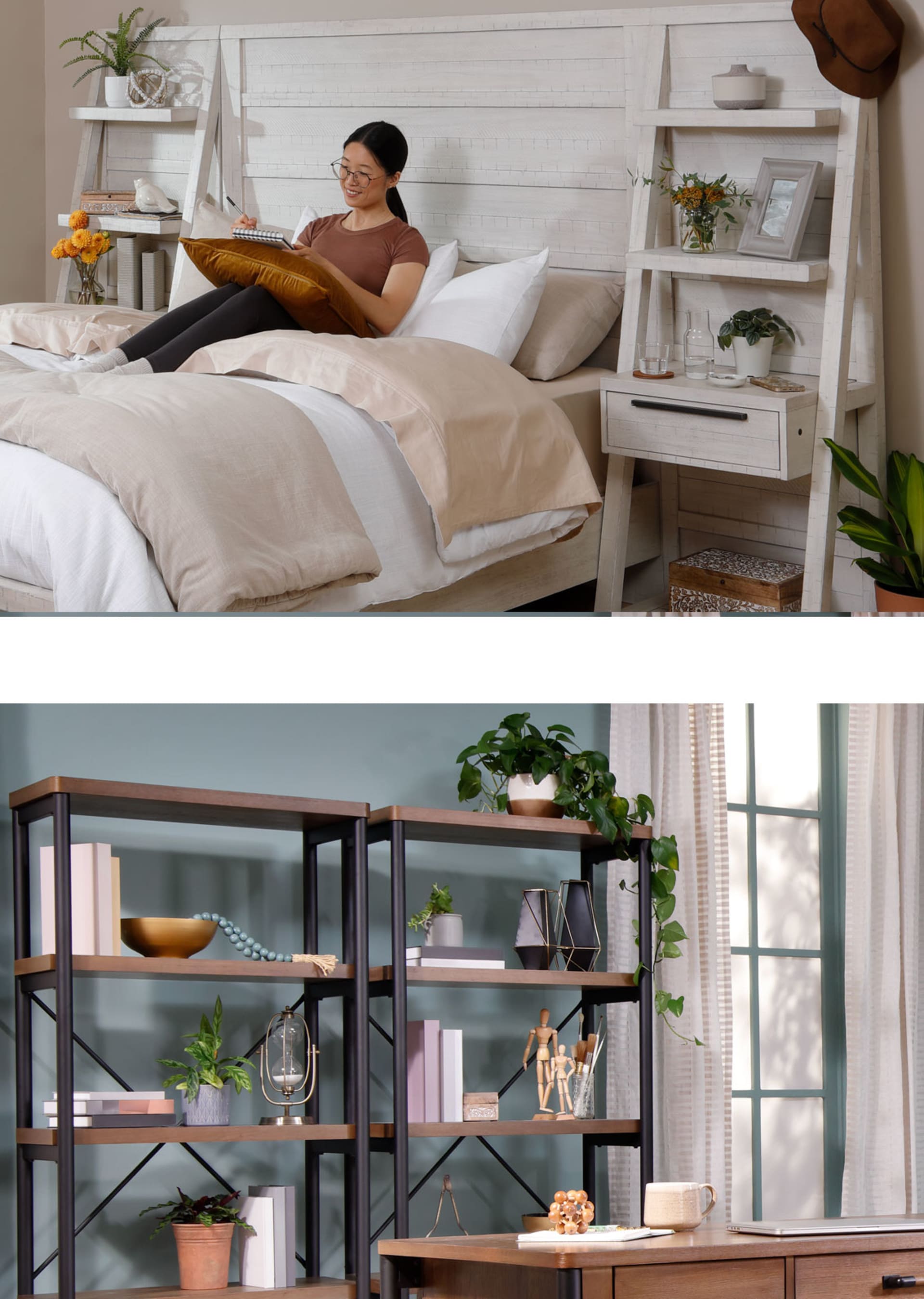 Houseplants in home