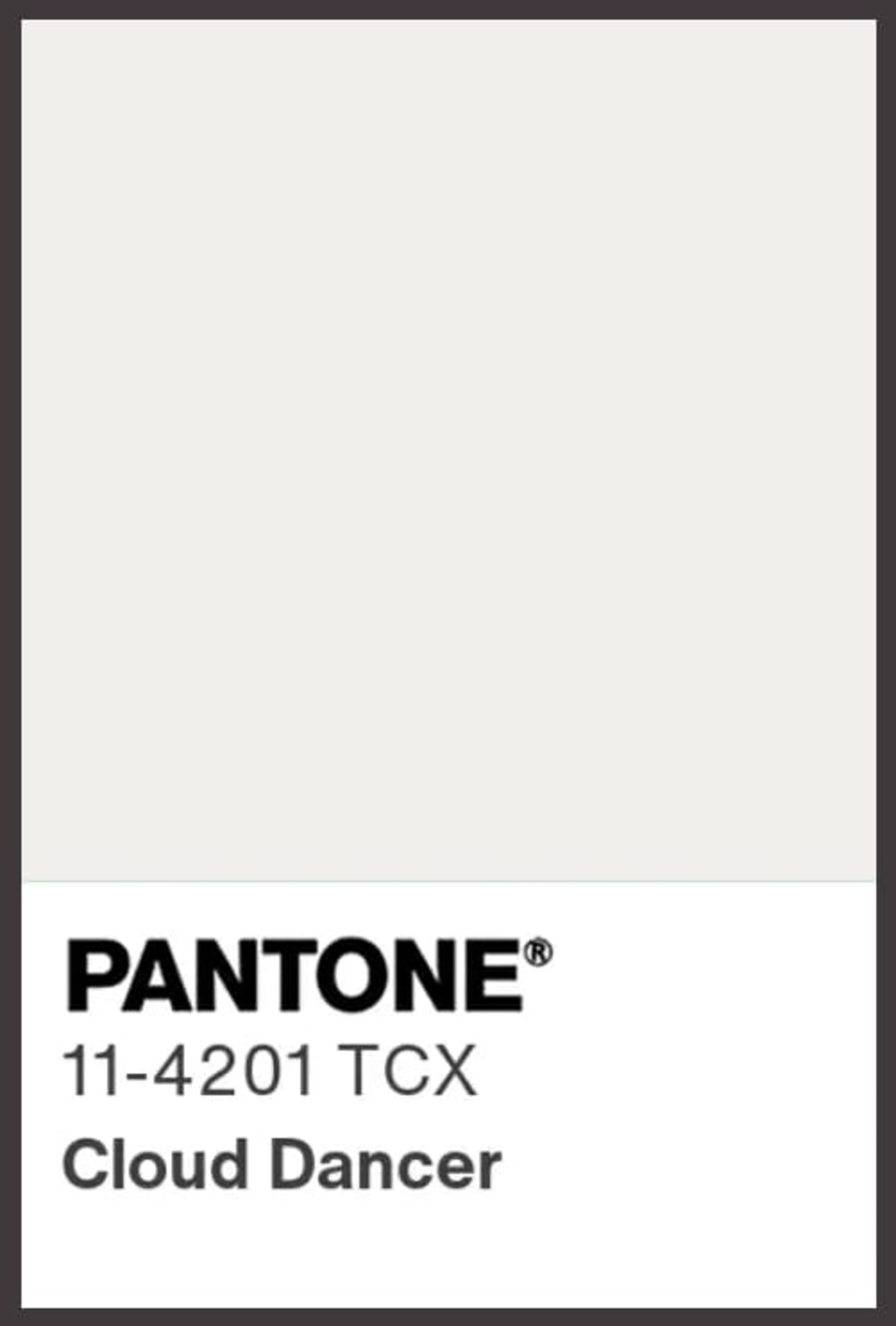 Pantone Cloud Dancer Color Image