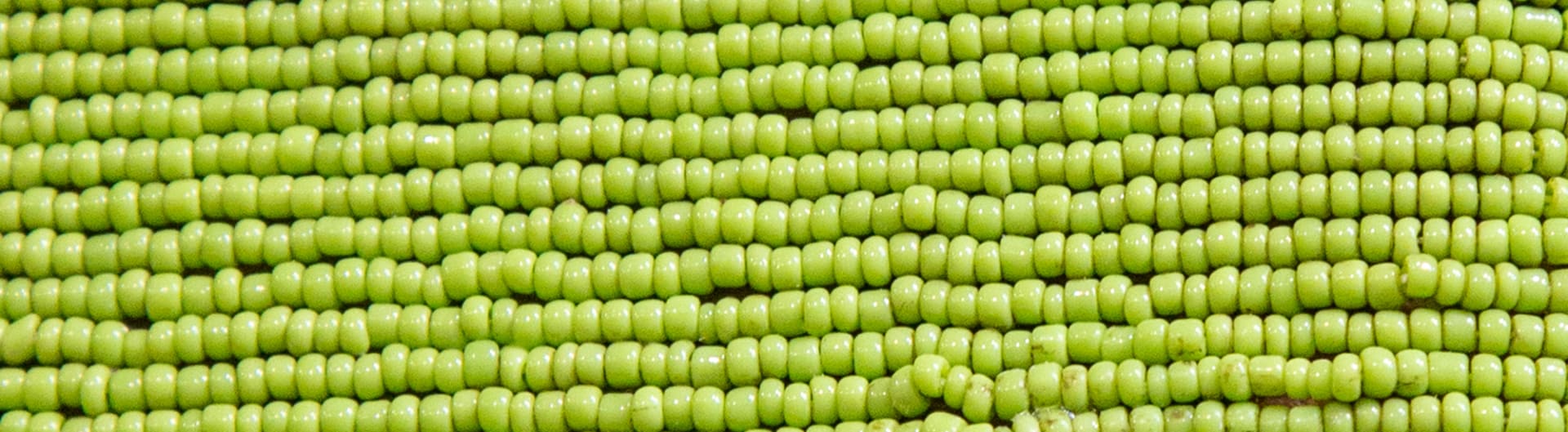Green Beaded Background